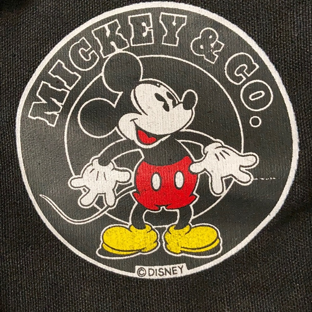Nice gym or trip to beach bag DISNEY Mickey bag